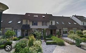 Witte Druif
